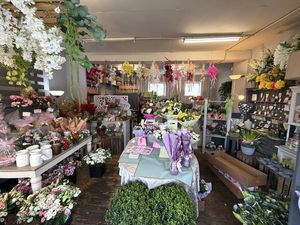 Photo 1- click for photo gallery